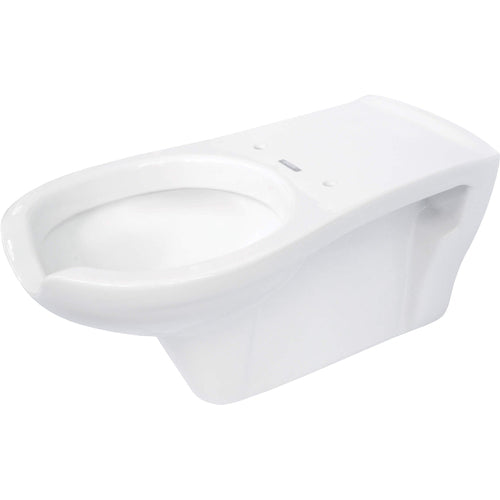 Toilet bowl, wall-mounted, for people with reduced mobility, Deante