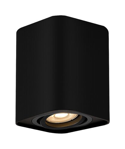 Corp iluminat Kobald 1xGU10/42W/230V, cod Rabalux 2049 - imagine 2
