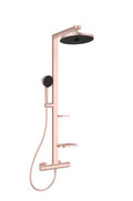 SISTEM DUS TERMOSTATIC CERATHERM ALU+ ,CAP DUS 260 MM 2 JETURI, FURTUN 1750MM SI PARA 100MM 2 JETURI, ROSE
