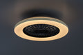 Rabalux plafoniera Dalfon2 LED 48, negru