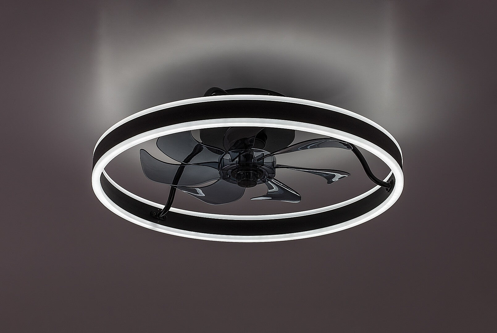 Rabalux plafoniera Fanfy LED 40, negru