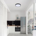 plafoniera LED Alenzo LED 24, negru