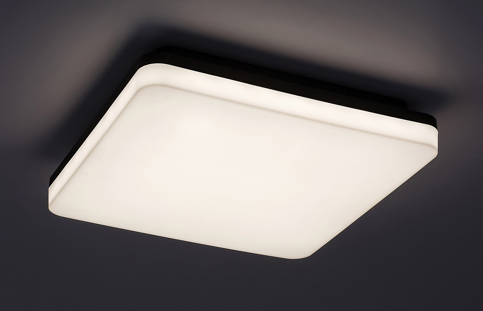 plafoniera LED Pernik LED 24, negru
