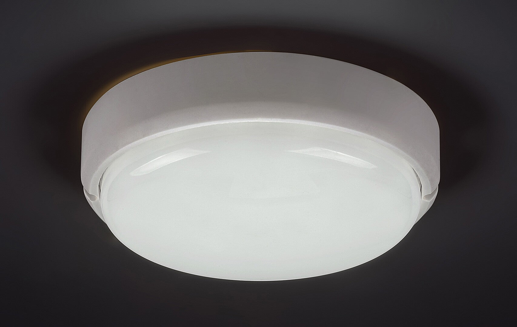 aplice exterior/ plafoniera de exterior Hort LED 15, alb