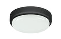 aplice exterior/ plafoniera de exterior Hort LED 15, negru