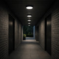 plafoniera LED Shaun Plus LED 30, negru