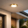 plafoniera LED Shaun Plus LED 24, auriu