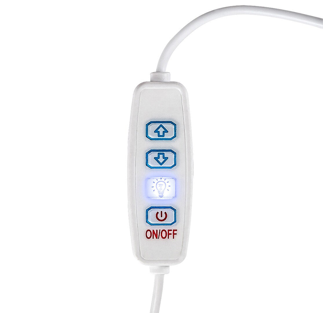 Pirit Rabalux 76003