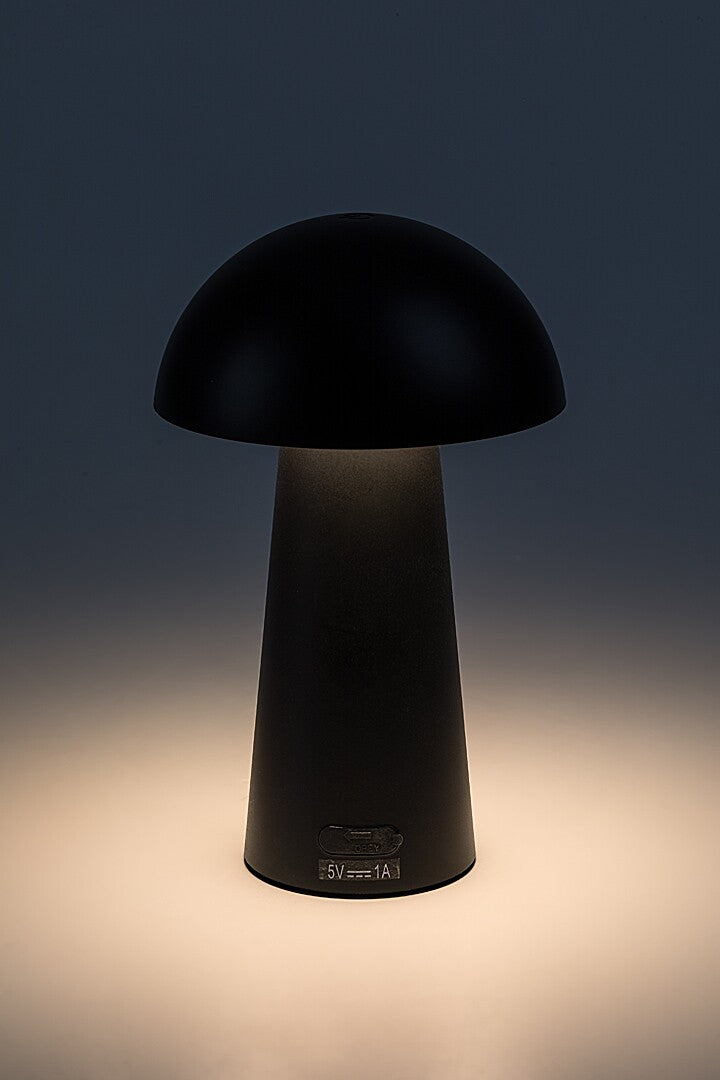 veioza Mireo LED 1,5, negru