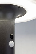 lampa solara Alaska LED 10, antracit