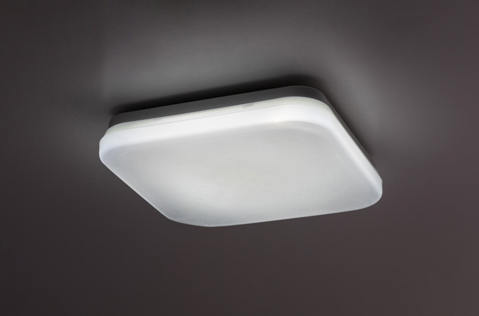plafoniera LED Lowar LED 12, alb