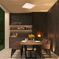 plafoniera LED Lowar LED 36, alb