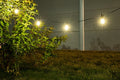 lampa solara Zirc LED 3,6, negru