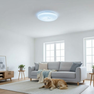 Plafoniera LED Flower fi300 18W=120W, 6500K, lumina rece