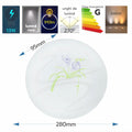 Plafoniera LED Flower  fi230 13W=75W, 6500K, lumina rece