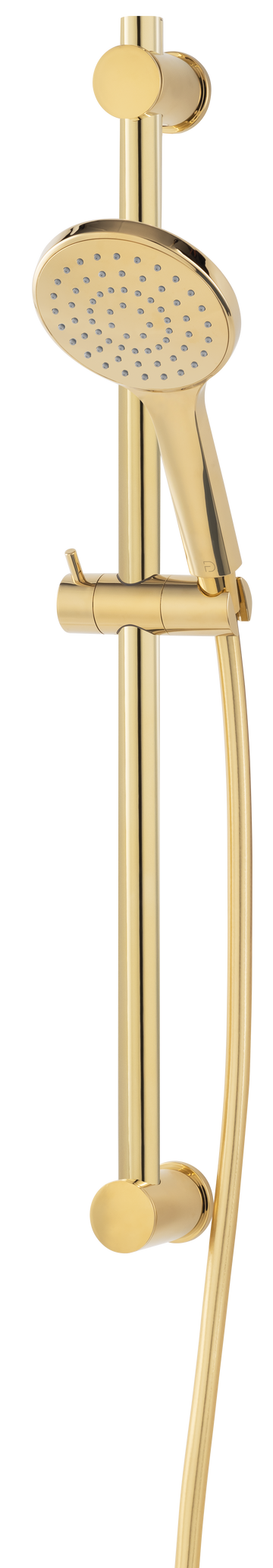 FDesign Set Dus Inula, Cu Bara Culisanta, Furtun Si Para Dus 1 Functie, Auriu Lucios, Seria: INULA