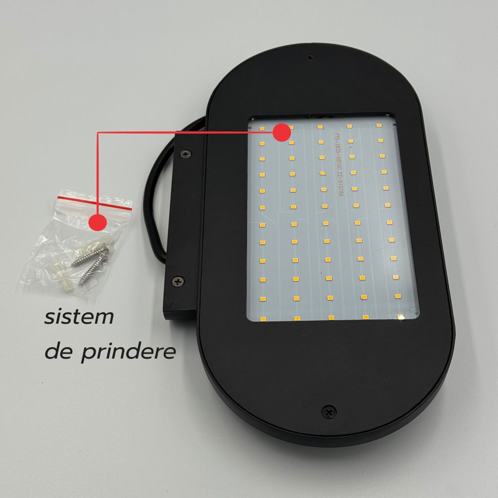 Aplica LED Perete 300x160mm 12W=108W 3000K, lumina calda, cu protectie IP65