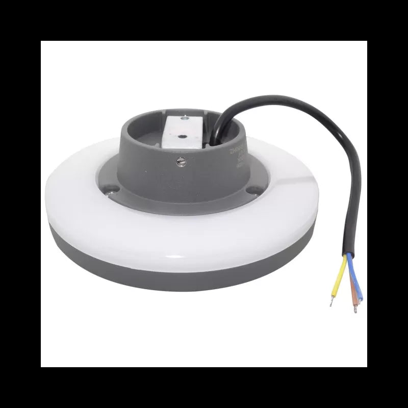 Aplica LED exterior Perete 10W Lumina clada IP65