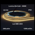 BANDA LED 12V 2835 240LED IP20 3000K LUMINA CALDA 21W/M