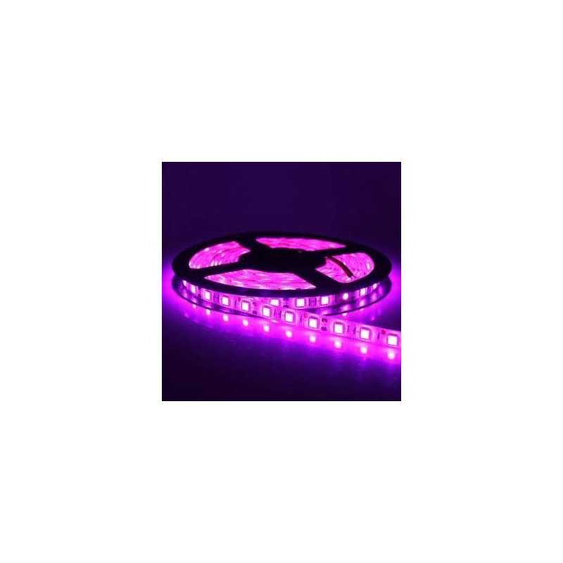 BANDA LED 12V 5050 IP20 MOV 14.4W/M