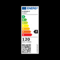 Lustra LED cu Telecomanda D100CM wifi 2.4G cu lumina/rece/calda/neutra intensitate reglabila
