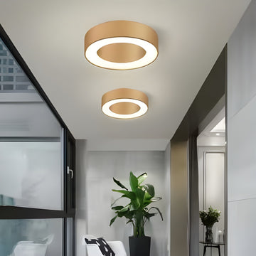 Round Gold Ceiling Light D50CM 48W Led Neutral Light